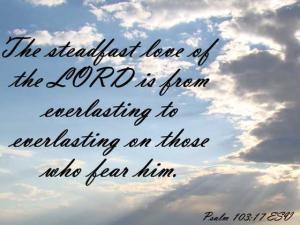 DSC06478Ps103-17_560x420