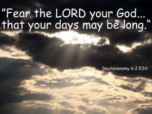 DSC06488Deut6-2_560x420