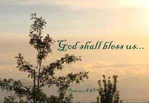 DSC06497Ps67-7_560x386