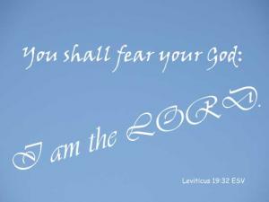 DSC06540Lev19-32_560x420