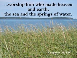 DSC06581Rev14-7_560x420