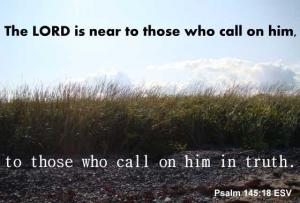 DSC06605Ps145-18_560x378