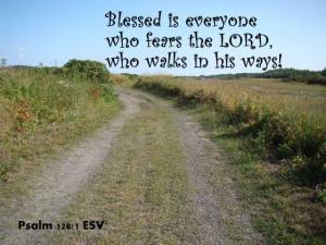 DSC06609ps128-1_560x420