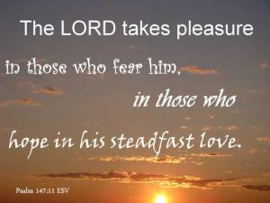 DSC06619ps147-11_560x420