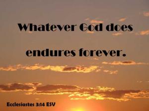 DSC06620Ecc3-14_560x420