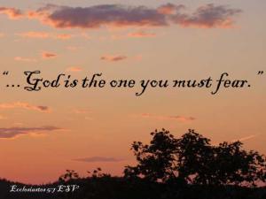 DSC06624Ecc5-7_560x420