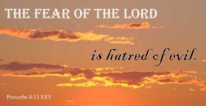 DSC06625Prov8-13_560x288