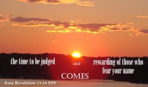 DSC06626Rev11-18_560x333