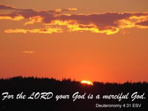 DSC06630Deut4-31_560x420