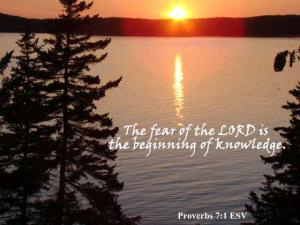 DSC06683Prov1-7_560x420