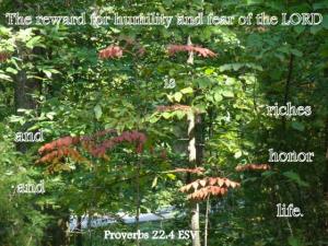 DSC06798Prov22-4_560x420