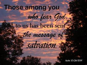 DSC06843Actl13-26_560x420