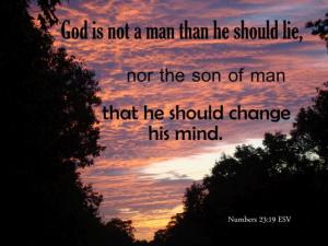 DSC06846Num23-19_560x420