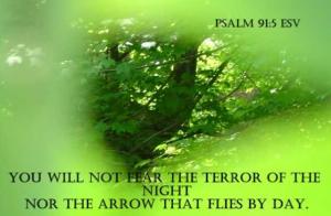 Focus_croppedPs91-5_560x366