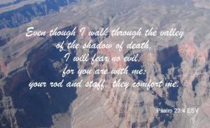 HODA 010PS23-4_560x324