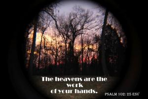 IMG_0029Ps102-25_560x373