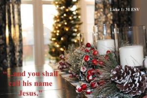 IMG_0041_560x373Luk1-31