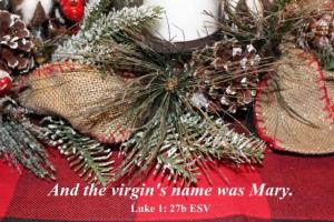 IMG_0071_560x373_Luk1-27