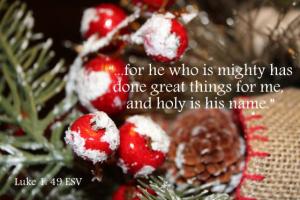 IMG_0075Luk1-49_560x373