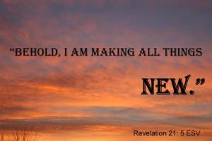 IMG_0078Rev21-5_560x373