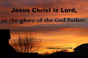 IMG_0080Phil2-11_560x373