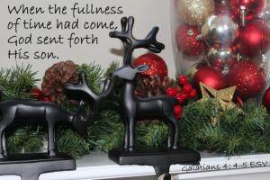 IMG_0093Gal4-4_560x373