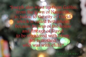 IMG_0115Luk2-4_560x373