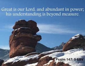 IMG_0437Ps147-5_560x483