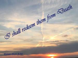 IMG_0634Hos13-14_560x420