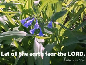 IMG_0673Ps33-8_560x420