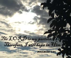 img_0830cropjer3-24_560x463