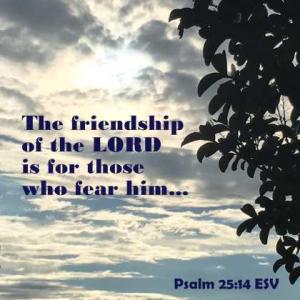 IMG_0831Ps25-14_420x420