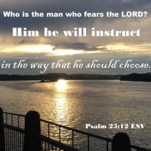 IMG_0849Ps25-12_420x420