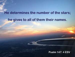 IMG_1146cropPs147-4_560x430