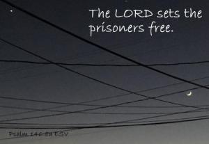 IMG_1501cropPS146-8a_560x387