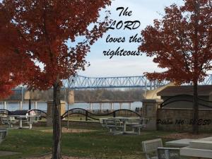 IMG_1505Ps146-8b560x420