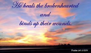 IMG_1561Ps147-3_560x362