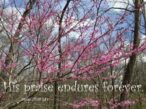 IMG_1692Ps111-10_560x420