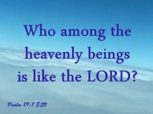 IMG_1934Ps89-7_560x420