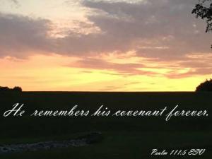 IMG_2077Ps111-5_560x420