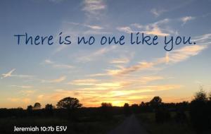 IMG_2236Jer10-7_560x355