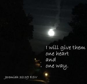 IMG_2244Jer32-39_420x407