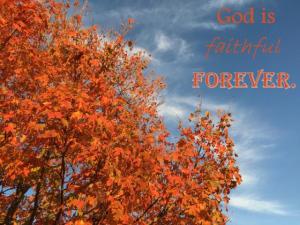 IMG_2291Ps146-6_+560x420