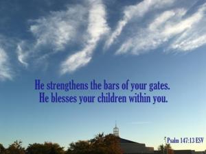 IMG_2295Ps147-13_560x420