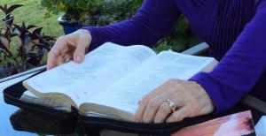 IMG_5632-001crop560x287