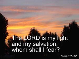 Picture 001PS27-1_560x420