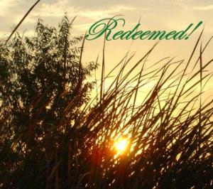 Picture 016_redeemed500x443