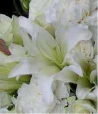 Wed Bouq Lily200x213