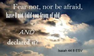 plant stacks across river_IS44-8_560x322