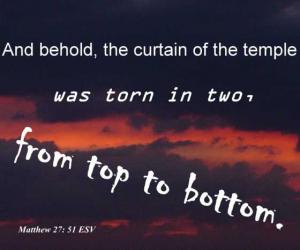 sunrise1Matt27-51_560x466